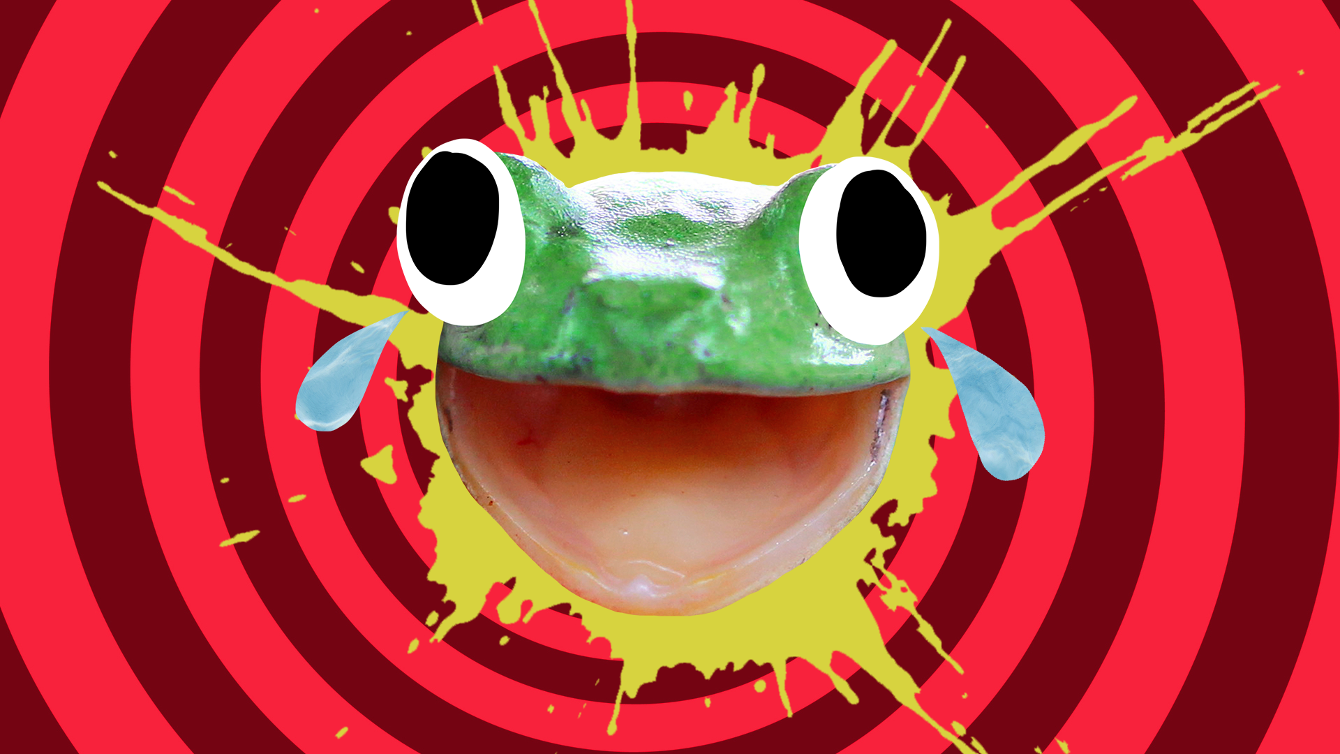 A grinning frog
