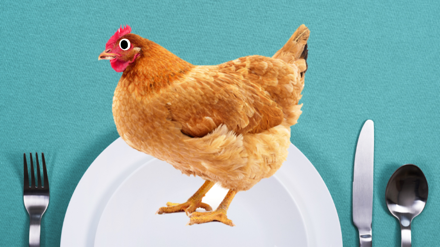 A chicken standing on a plate