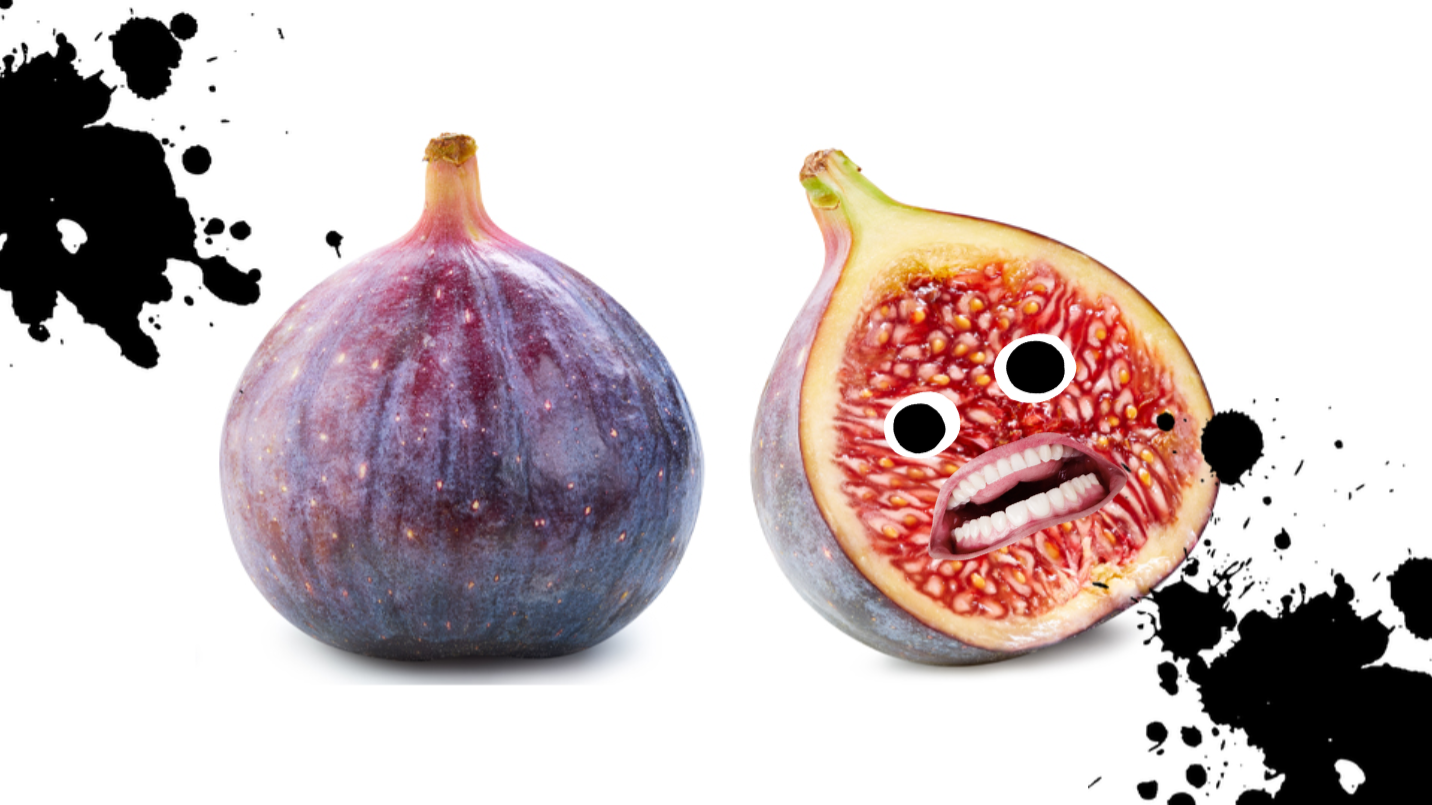 Scared figs
