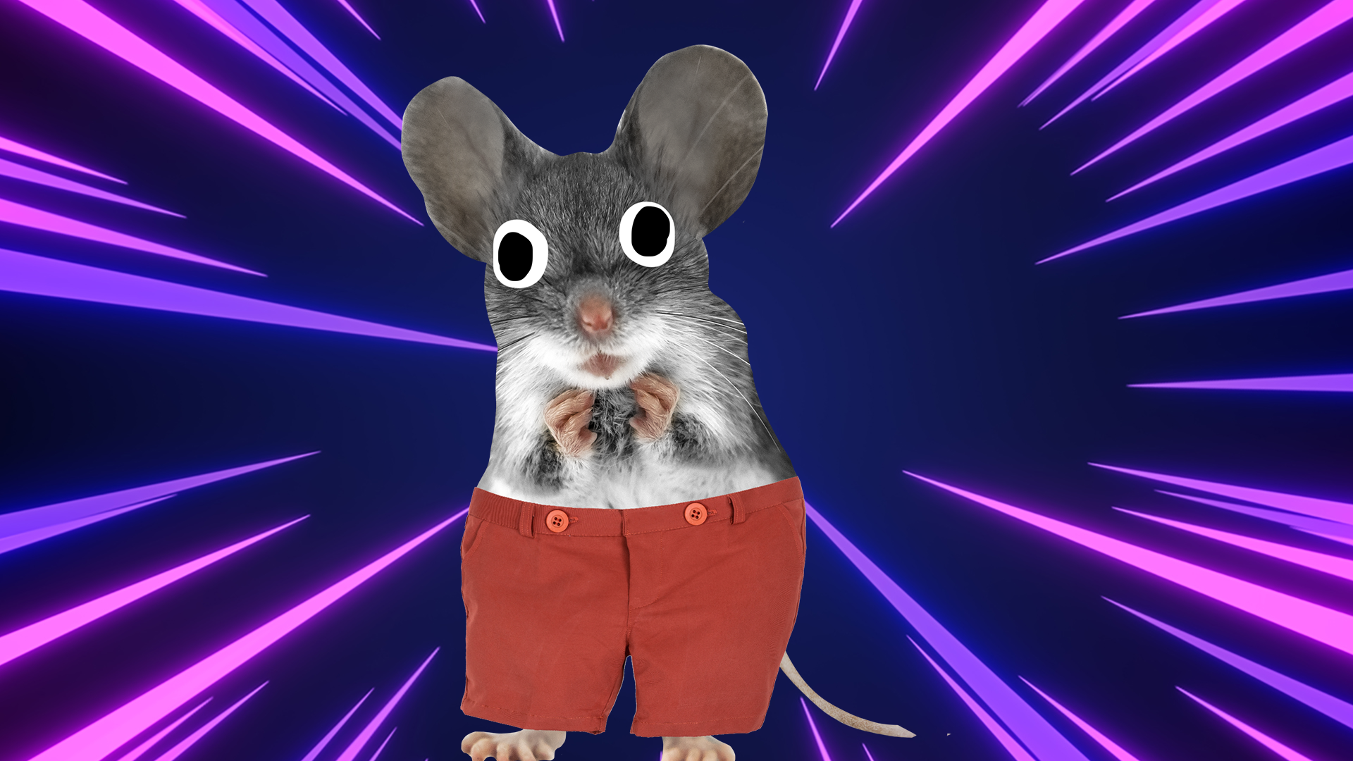 A mouse in red shorts