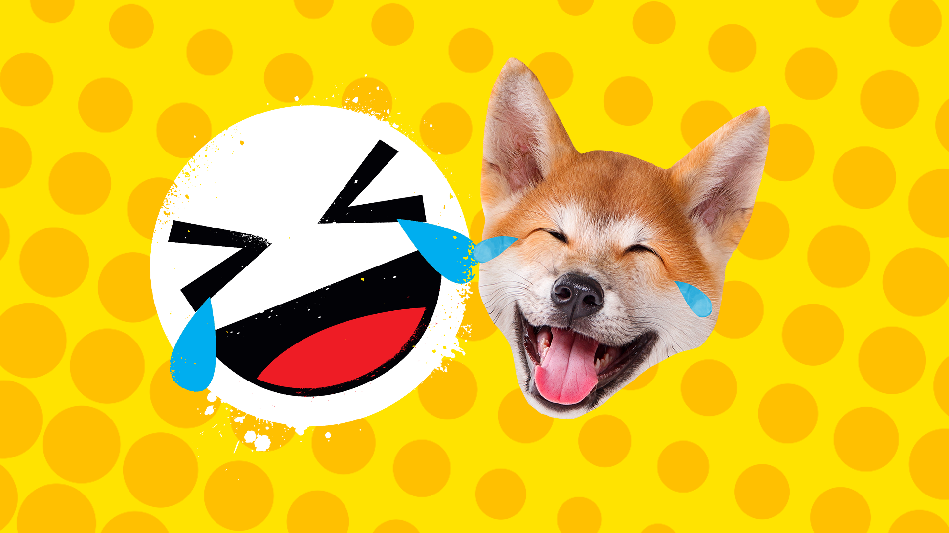 A laughing fox and laughing emoji face in front of a yellow spotted background
