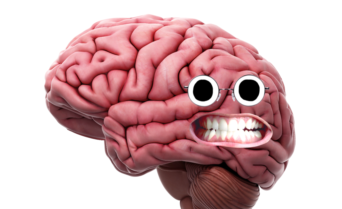 A brain 