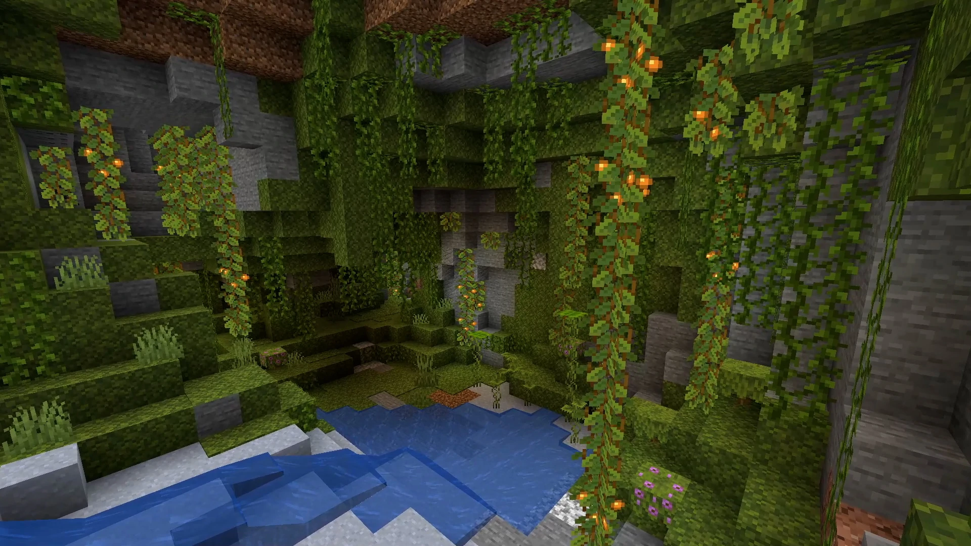 Lush Cave in Minecraft update