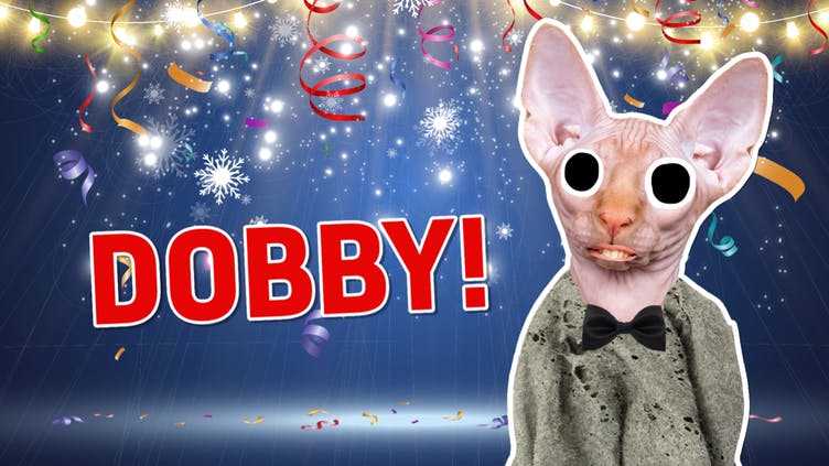 Result: Dobby