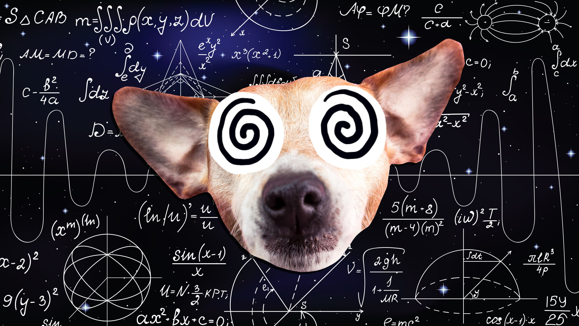 A dog surrounded by equations