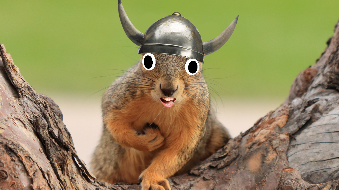 A viking squirrel 