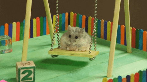 A hamster on a swing