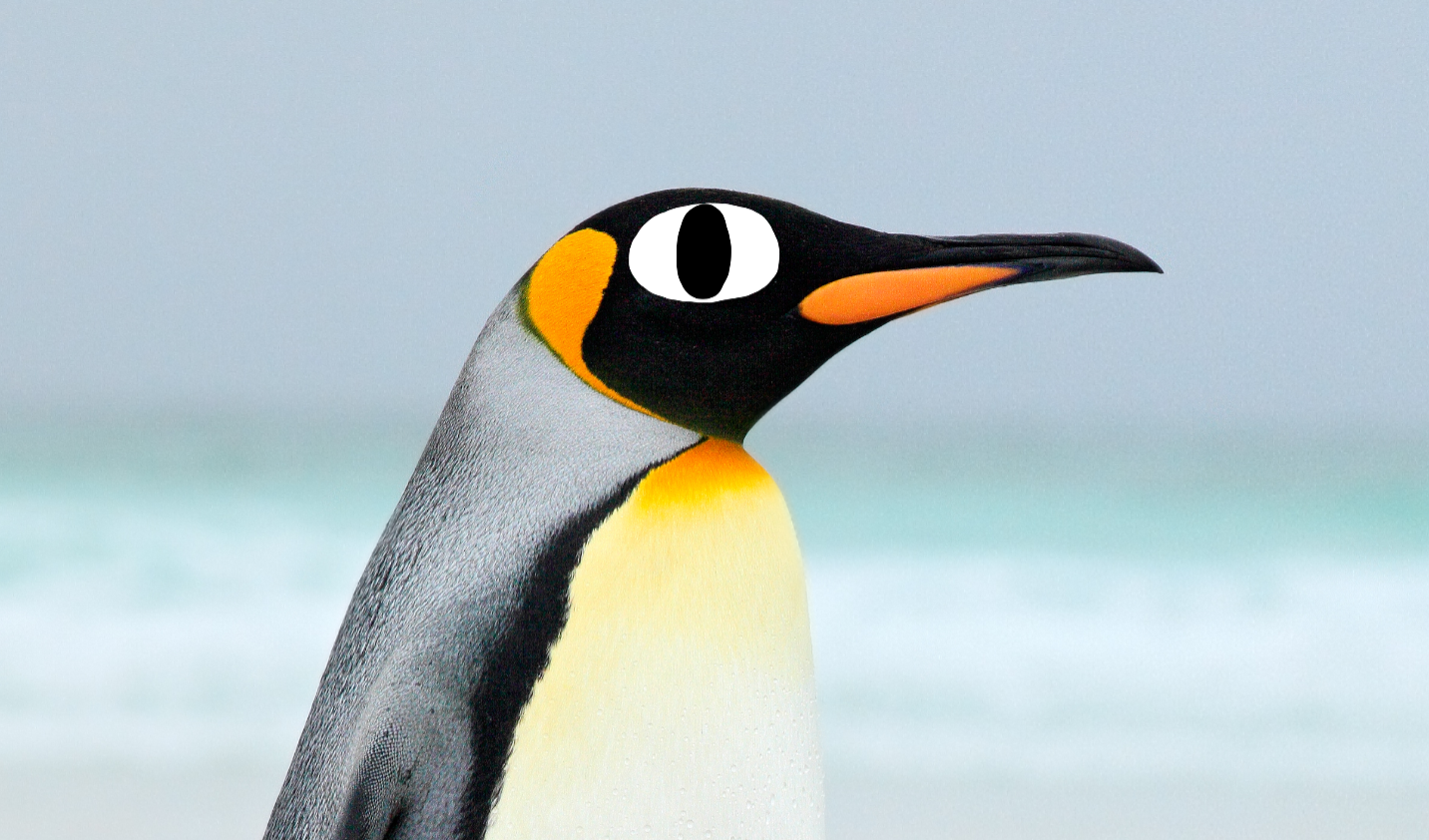 Penguin