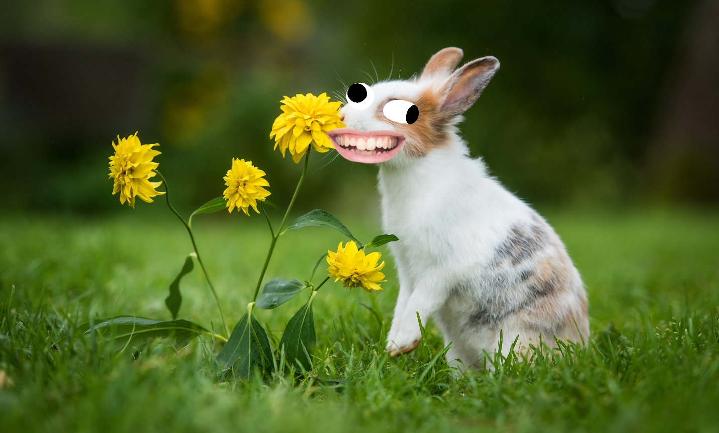 Rabbit smelling flowers