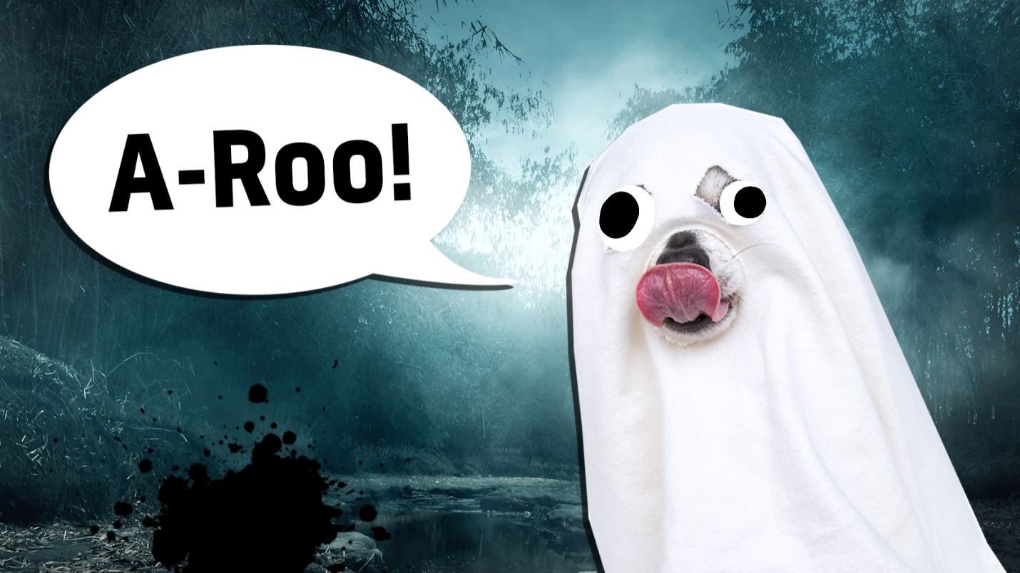A dog dressed as a ghost