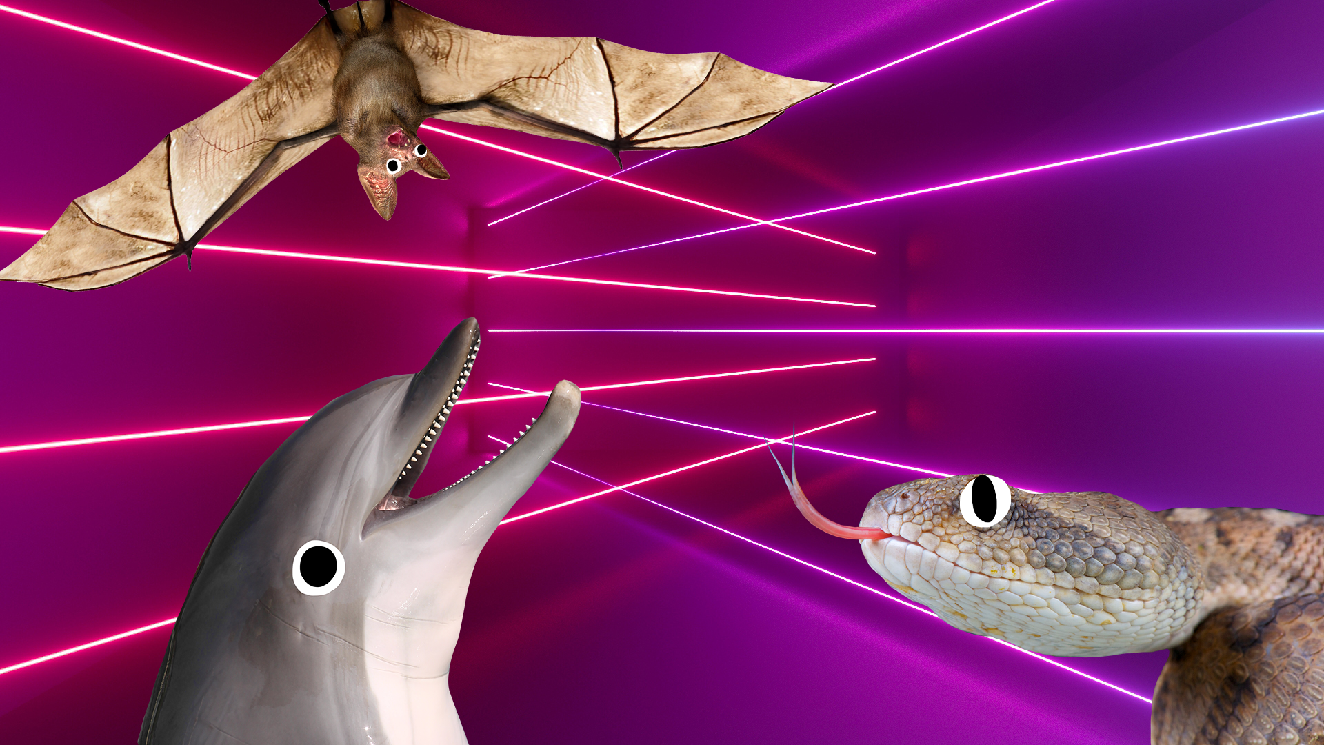 Bat, dolphin and snake on laser background