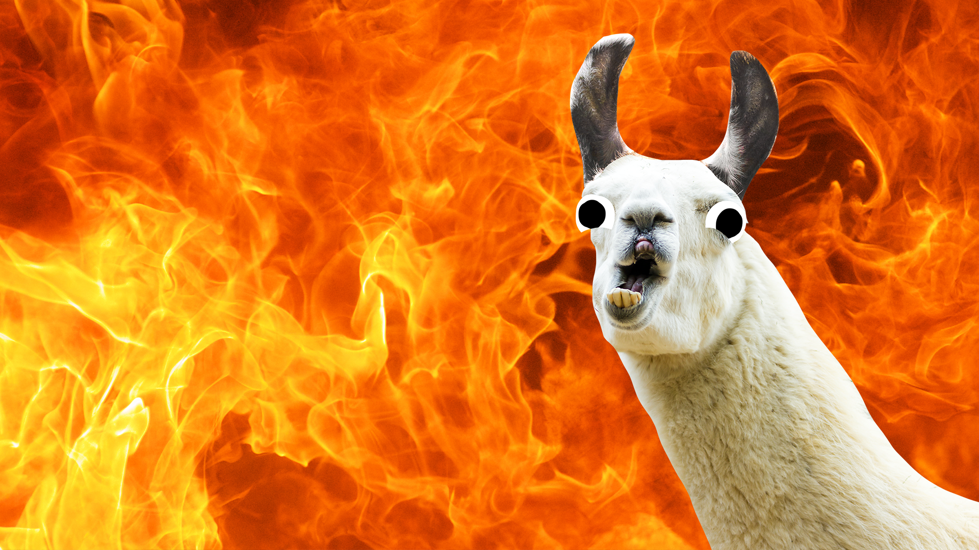 A funny llama and some flames 