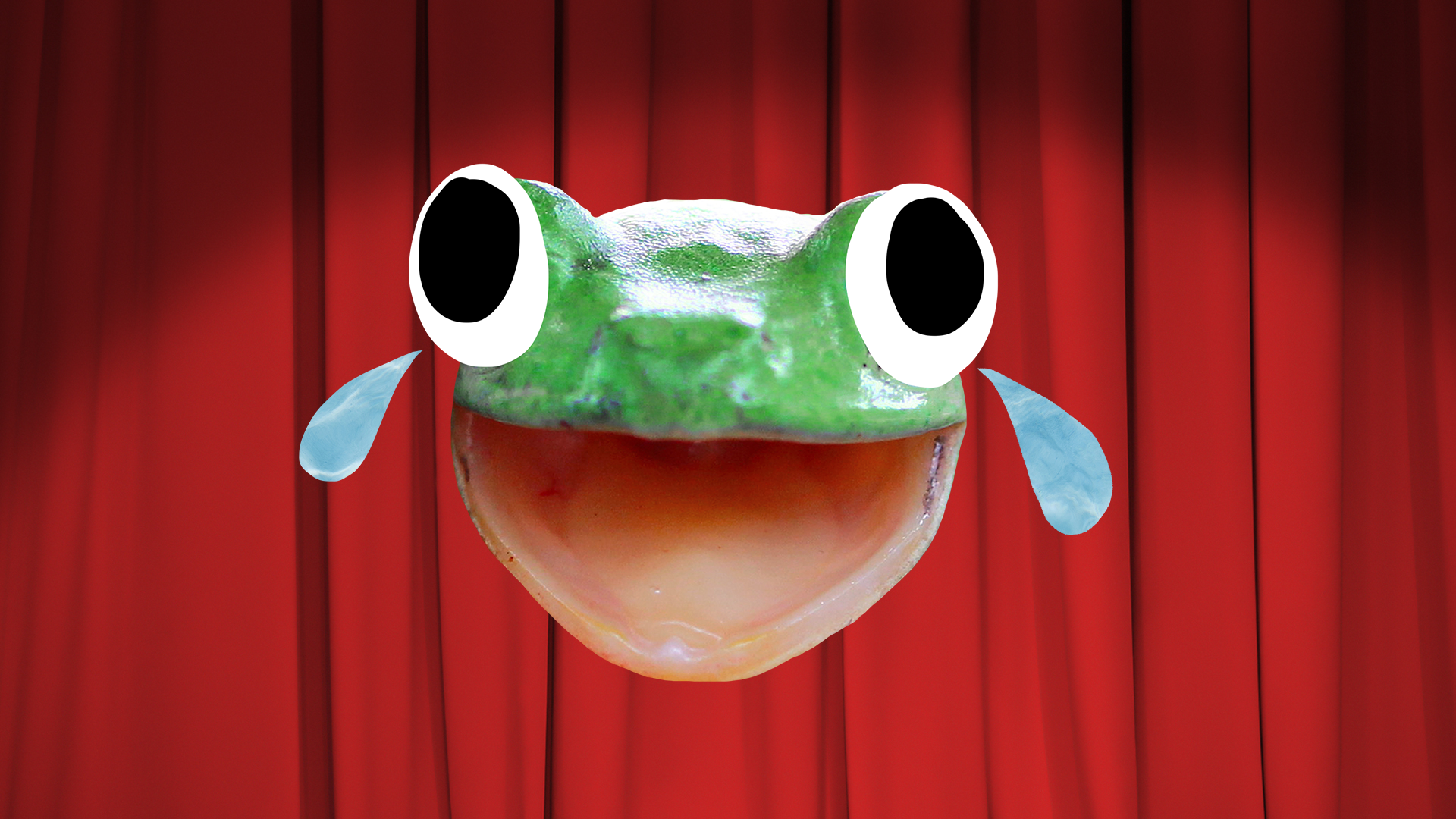 A laughing green frog