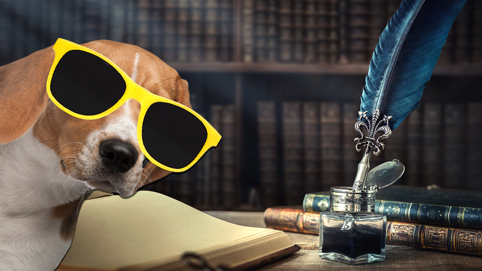 A dog with some old fashioned writing tools