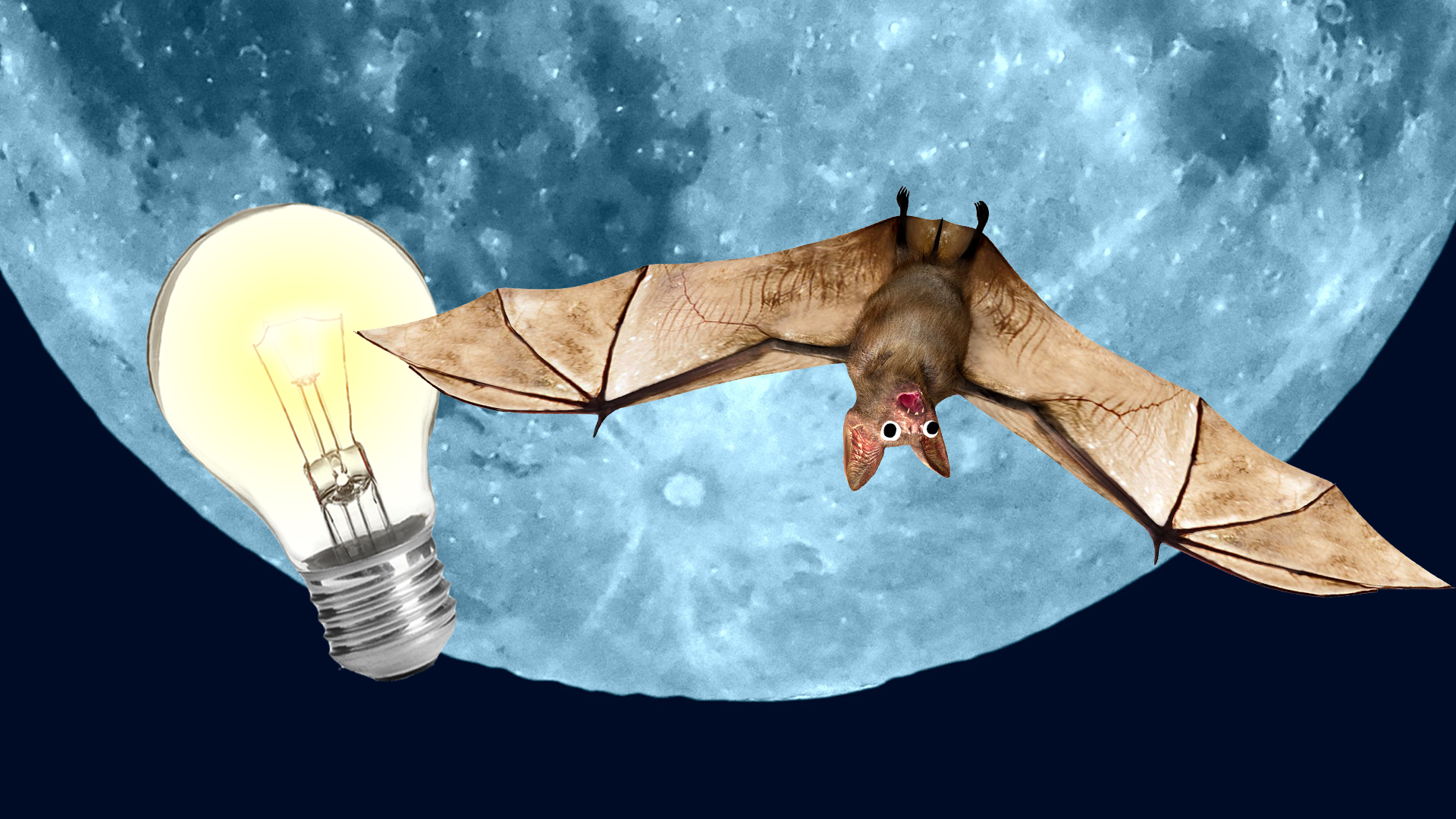 An upside down bat and a lightbulb