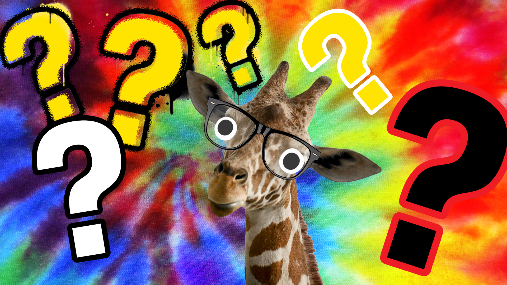 Giraffe on tie dye background with questionsmarks 