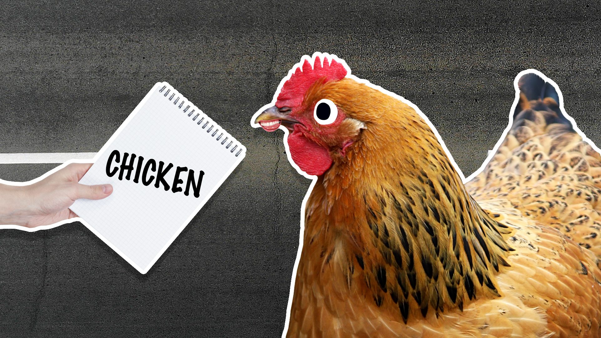 A chicken and a notepad