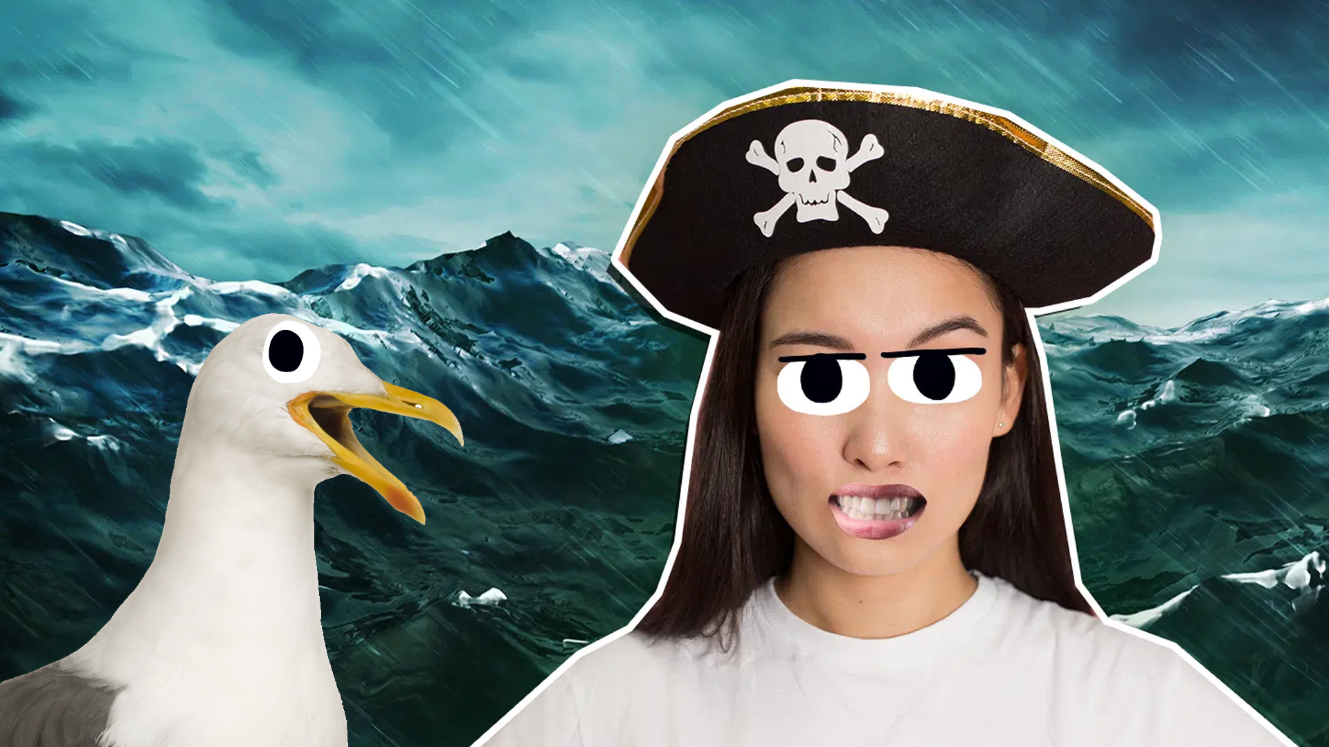 A pirate and a seagull on a stormy sea