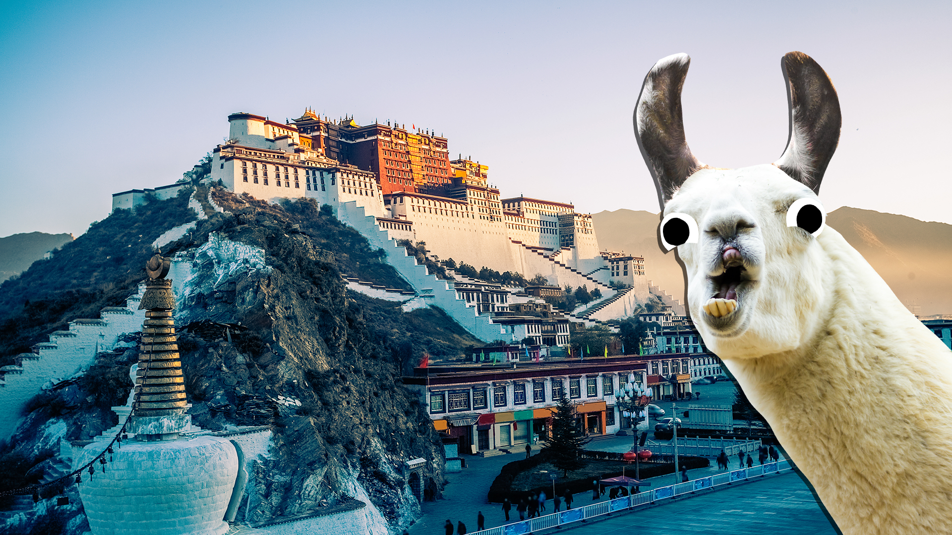 A llama visits the Potala Palace in Tibet