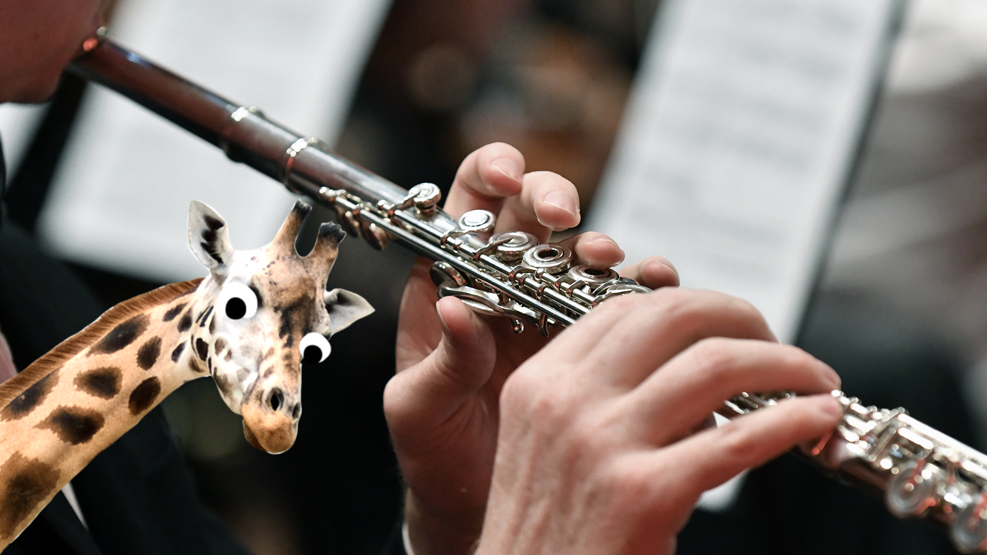 Someone playing flute with added giraffe