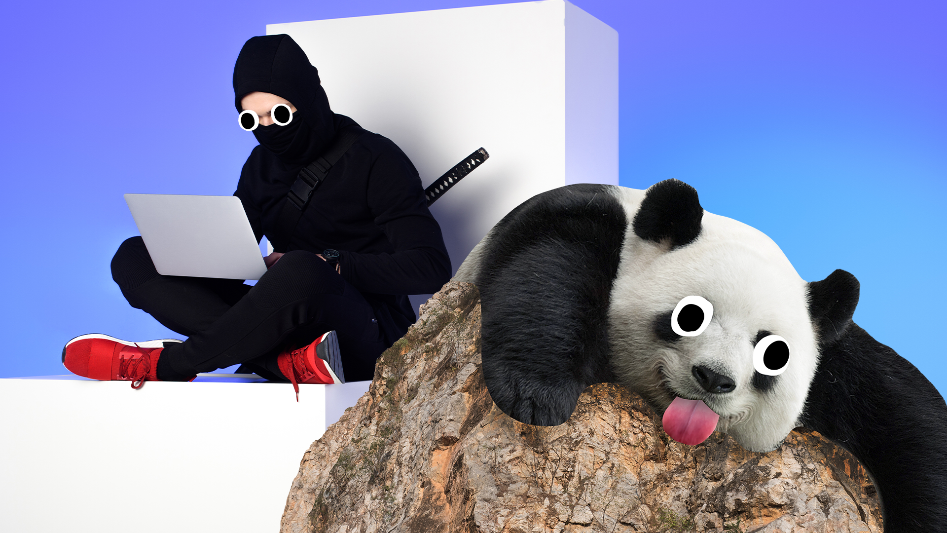 Ninja on laptop with derpy panda