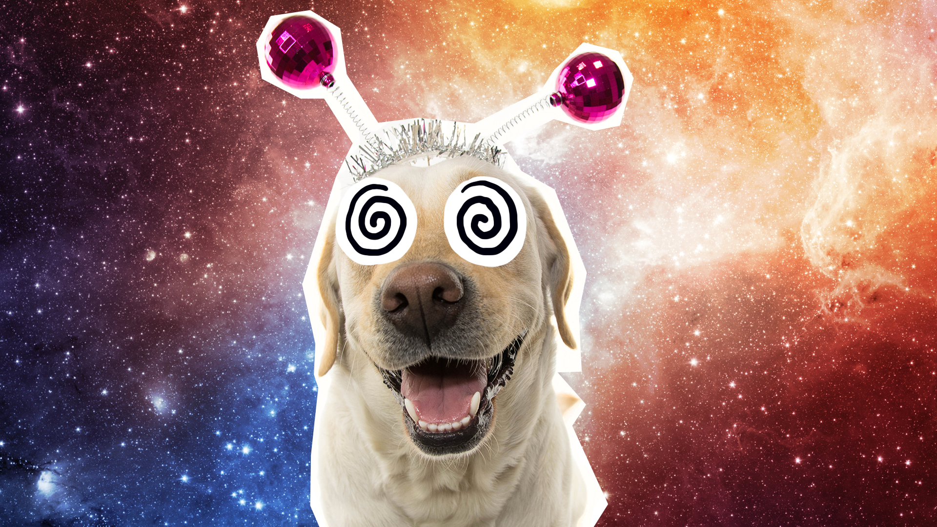 Alien dog on space background