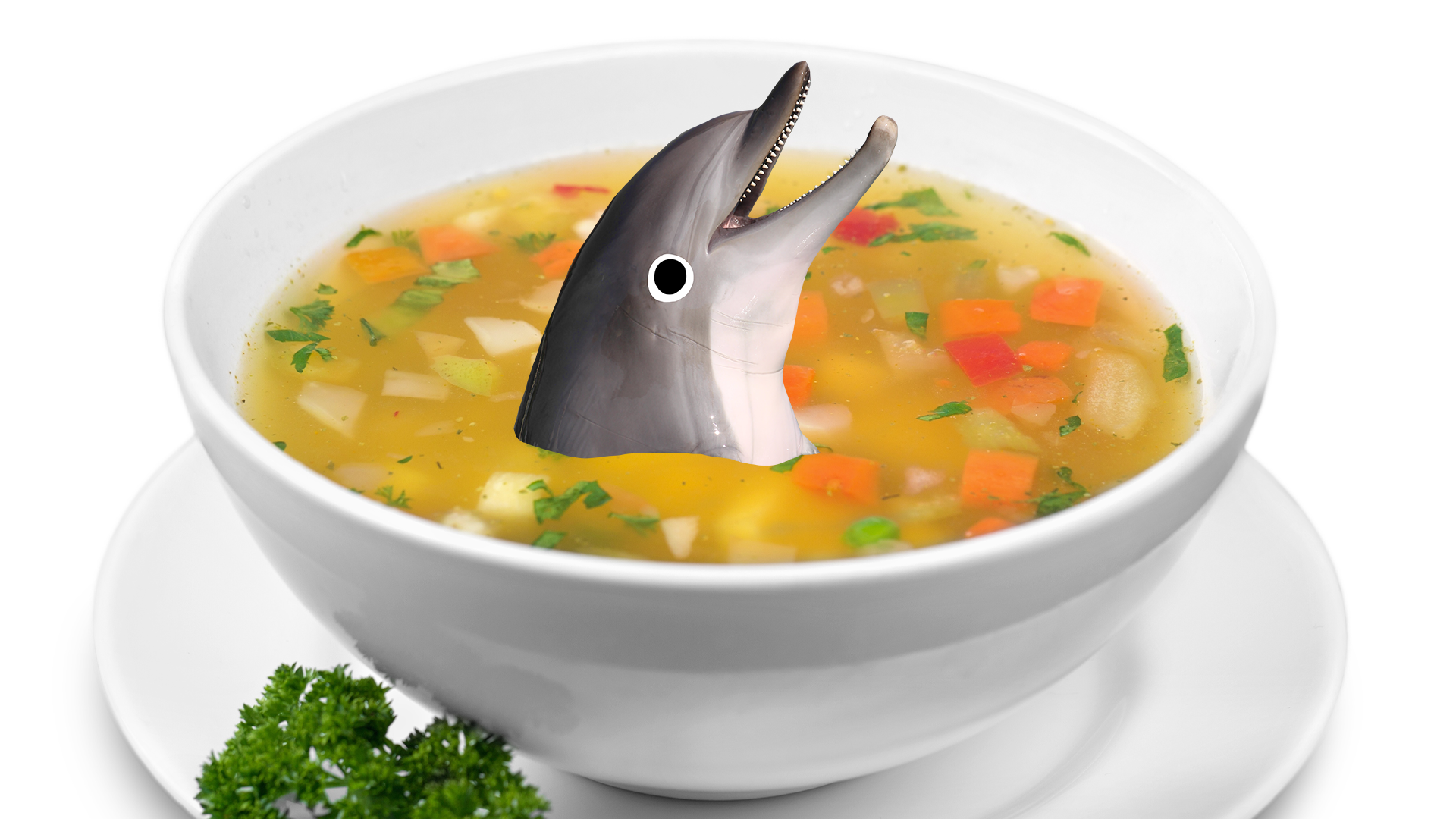 Dolphin popping out of a bowl of soup