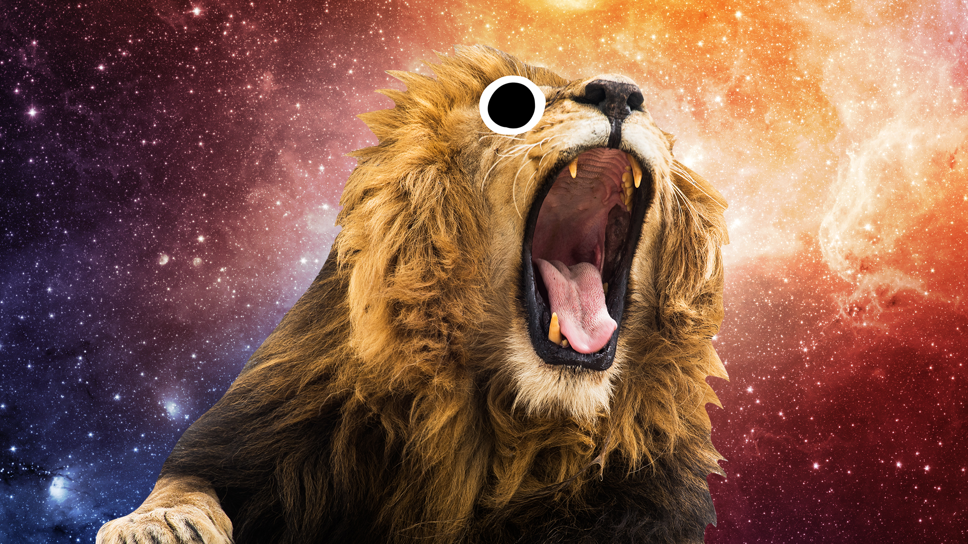 Lion on starry background