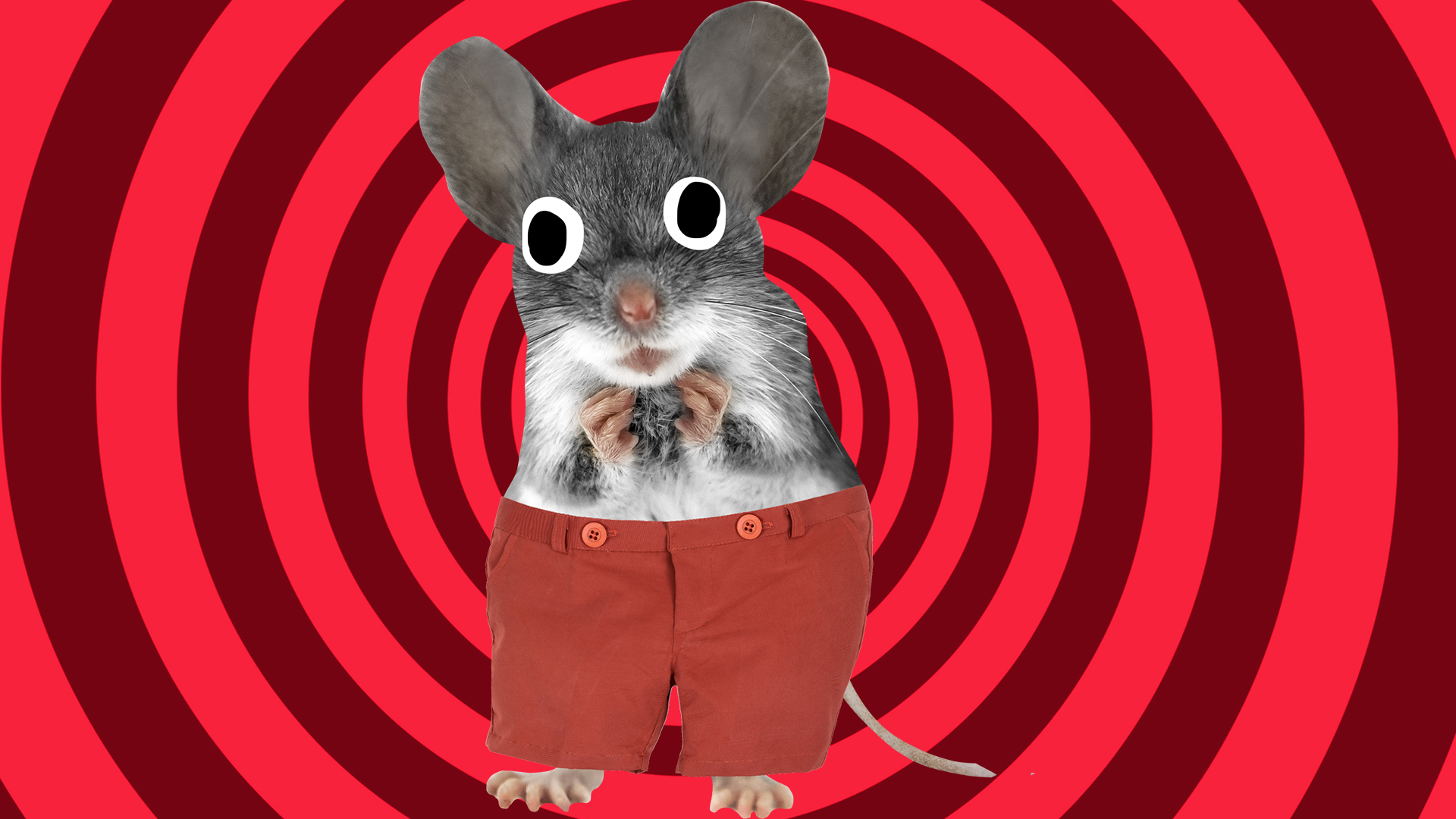 Mouse on spiral background