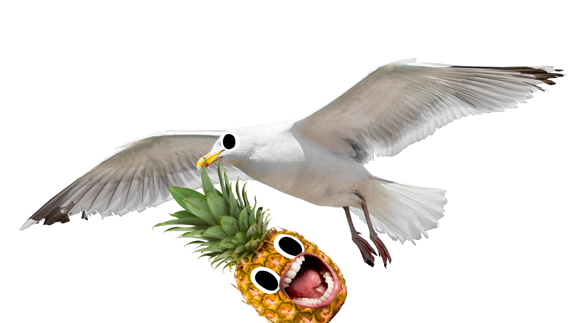 Seagull holding screaming pineapple in its beak