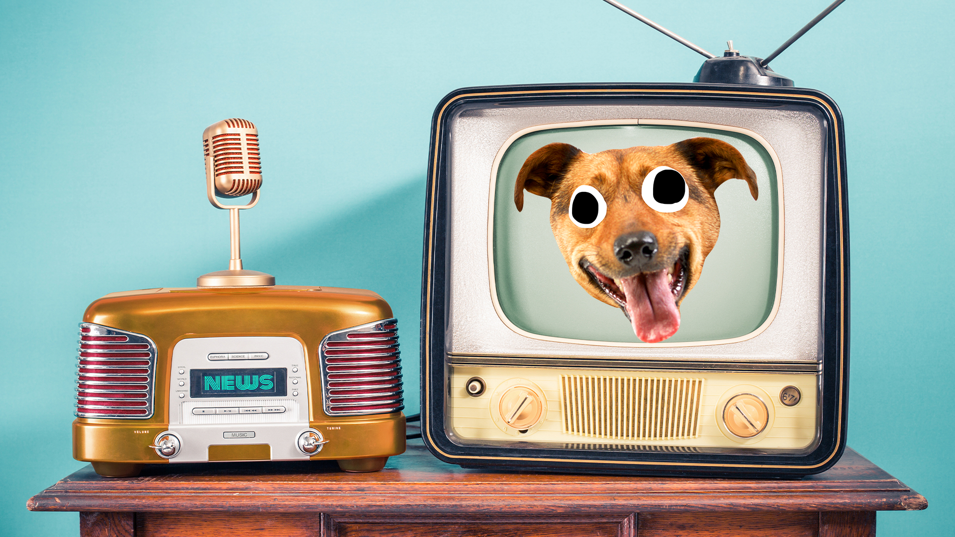 Old fashioned TV with dog face