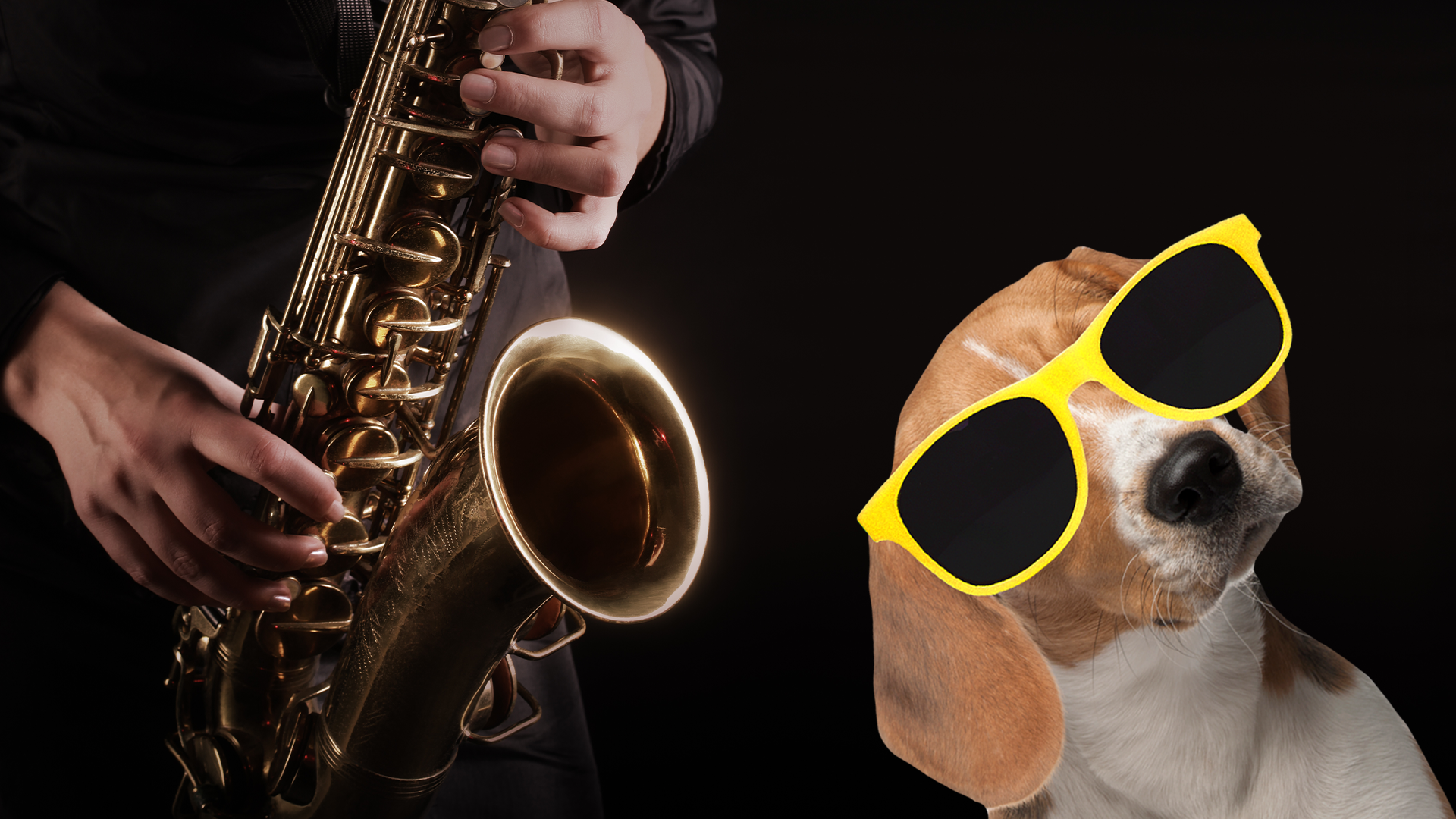 Someone playing saxophone with cool dog