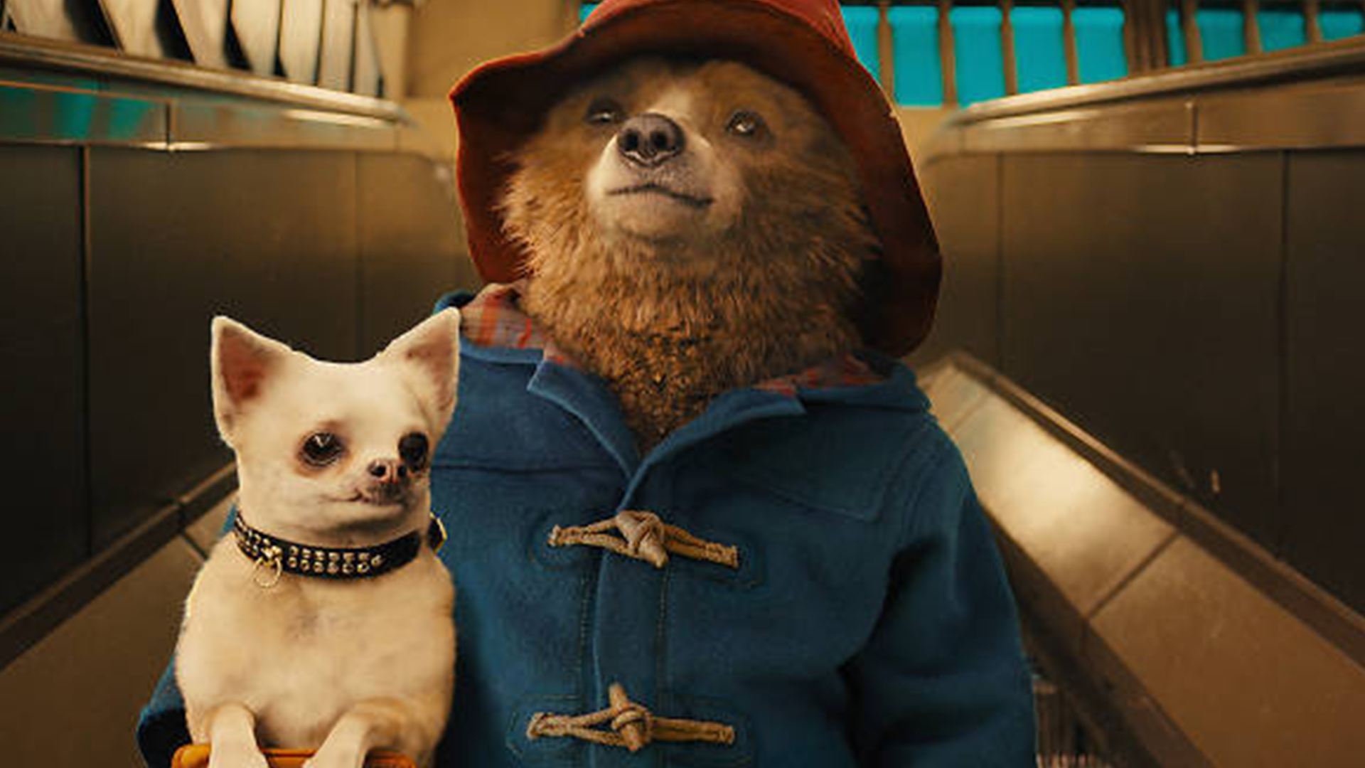 Paddington | Studio Canal | Paul King | David Heyman