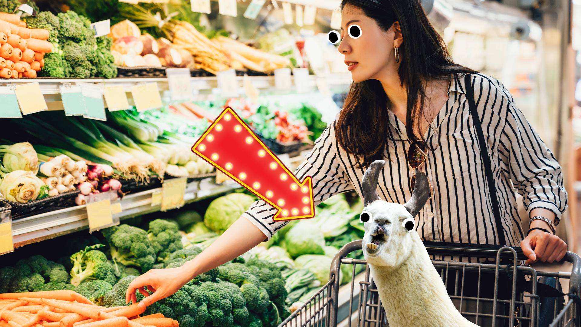 Woman in supermarket with llama 