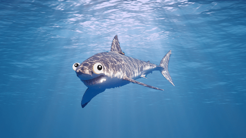 A shark swimming in the water