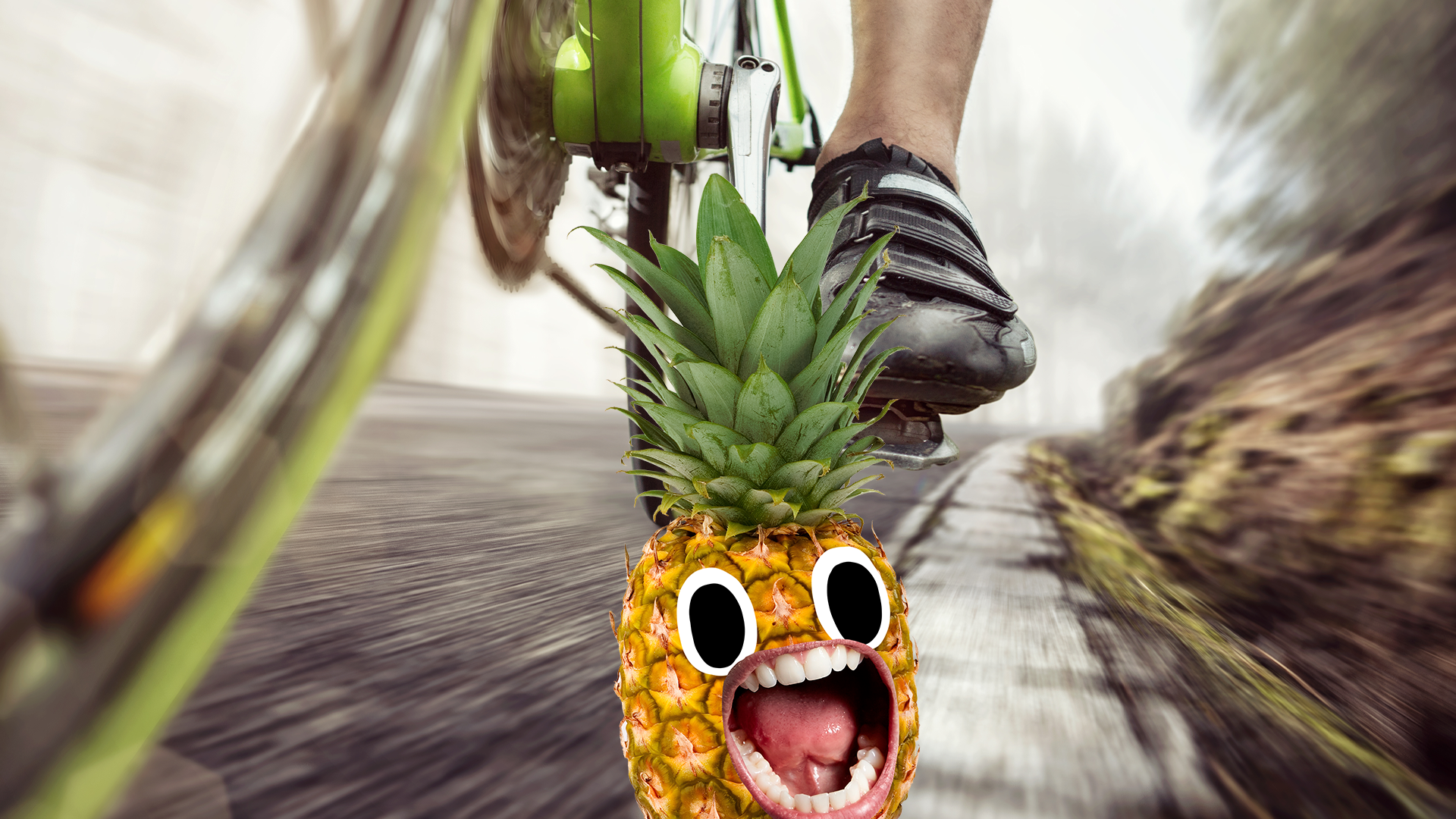 Pinapple looking scared of bicycle wheel