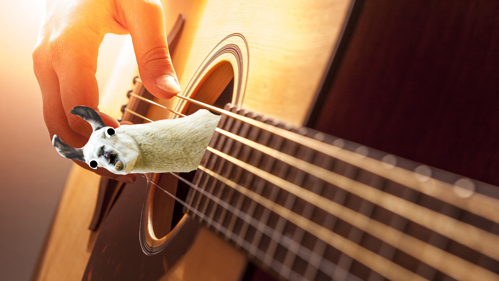Hand playing guitar while llama pops out of guitar