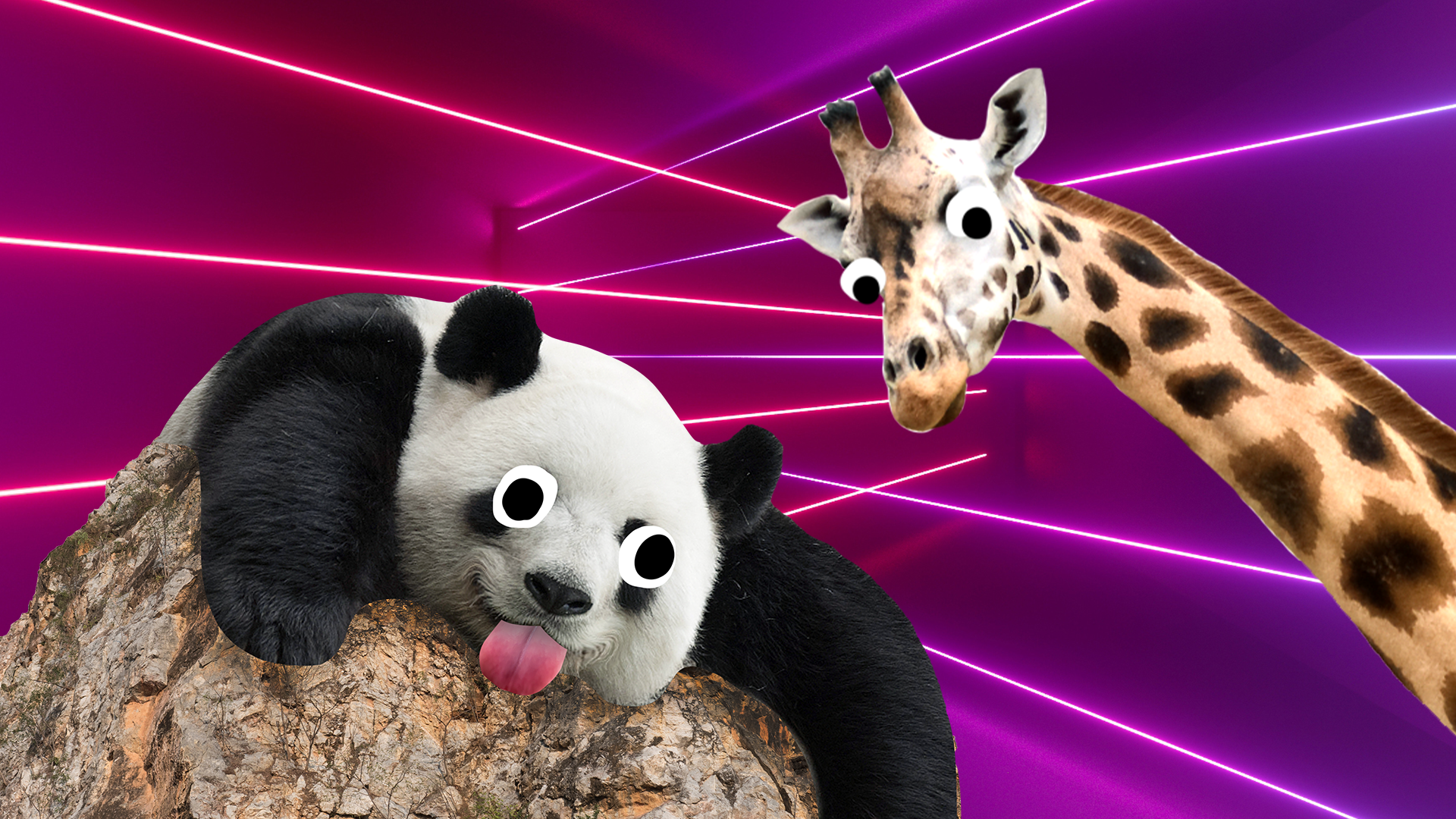 Panda and giraffe on laser background