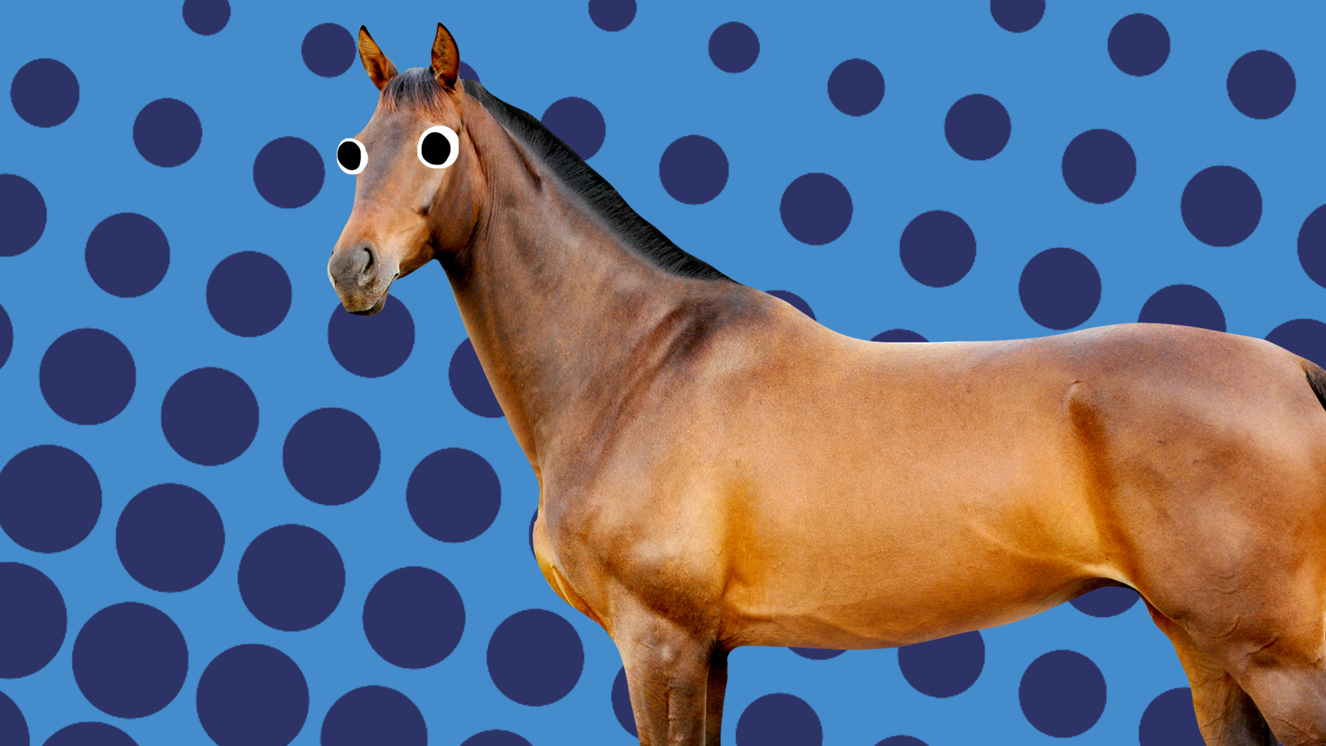 Horse on blue background