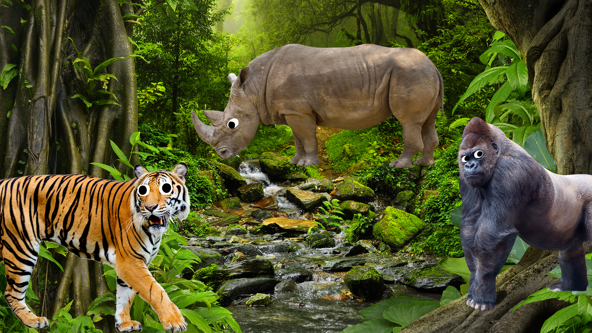 Jungle with animals 