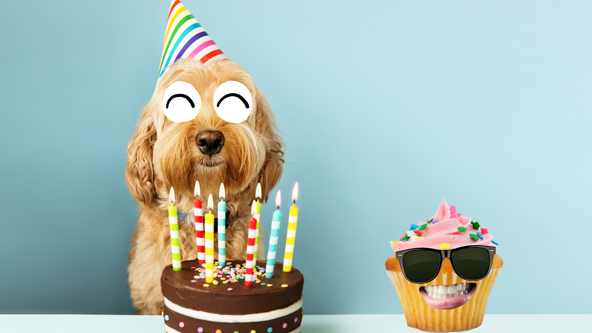 Dog and birthday cake and smiling cupcake