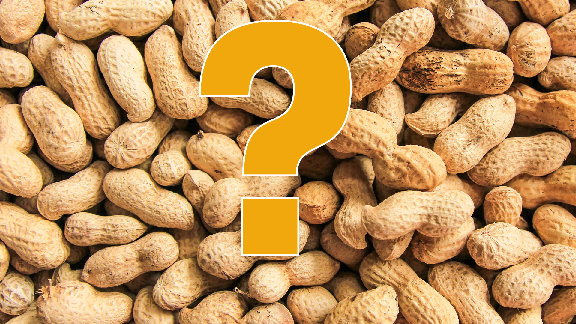 Nuts and question mark
