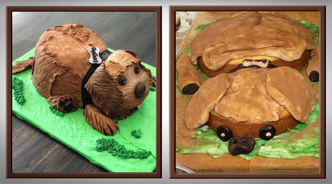 A squished cake dog