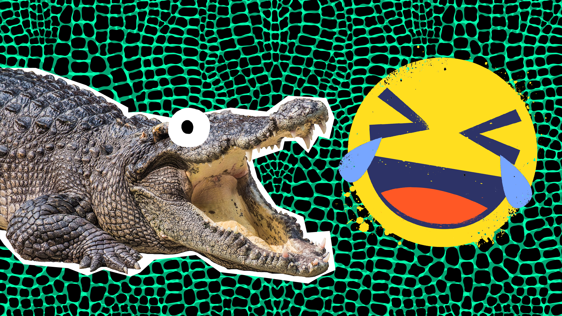 22 Crocodile Jokes That Snappy! |