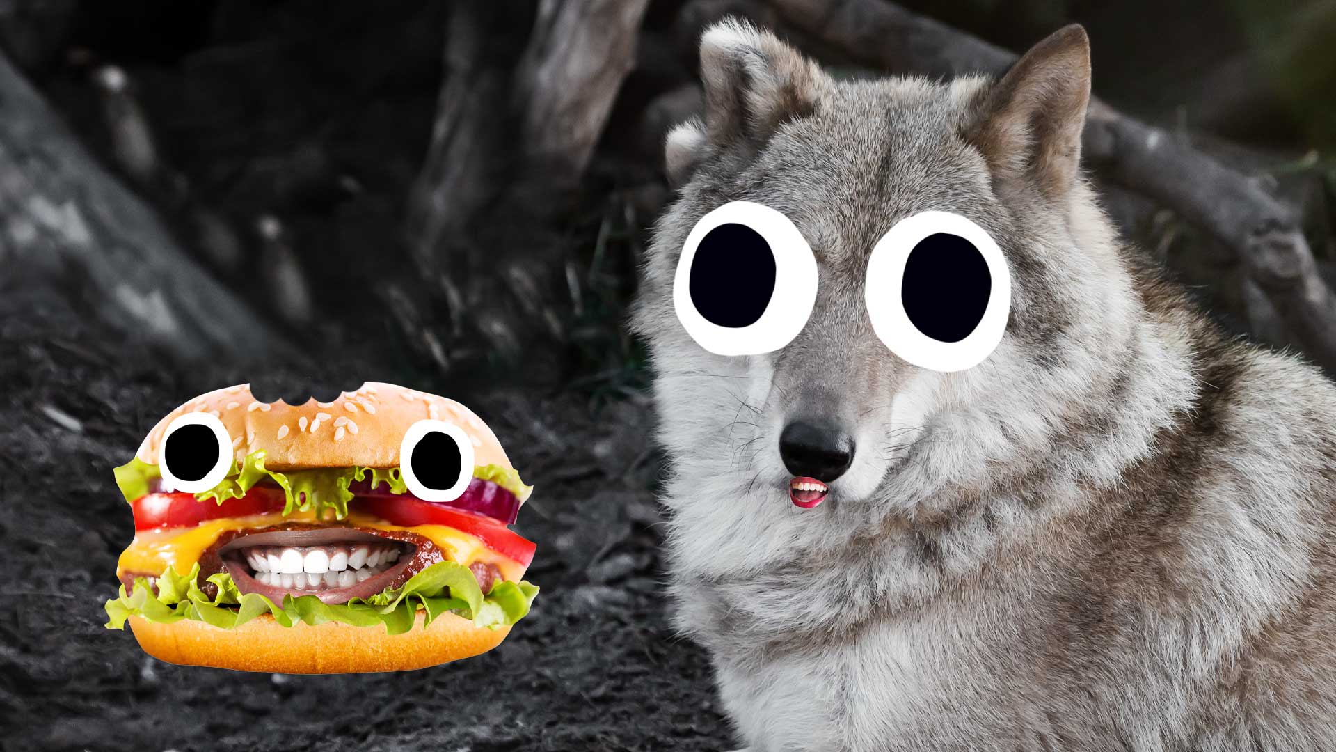 20 Wolf Jokes You'll Howl With Laughter At! 