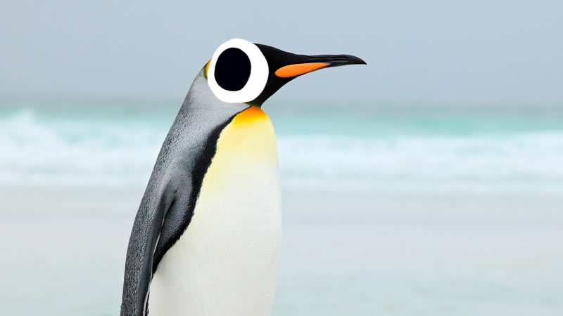 Penguin