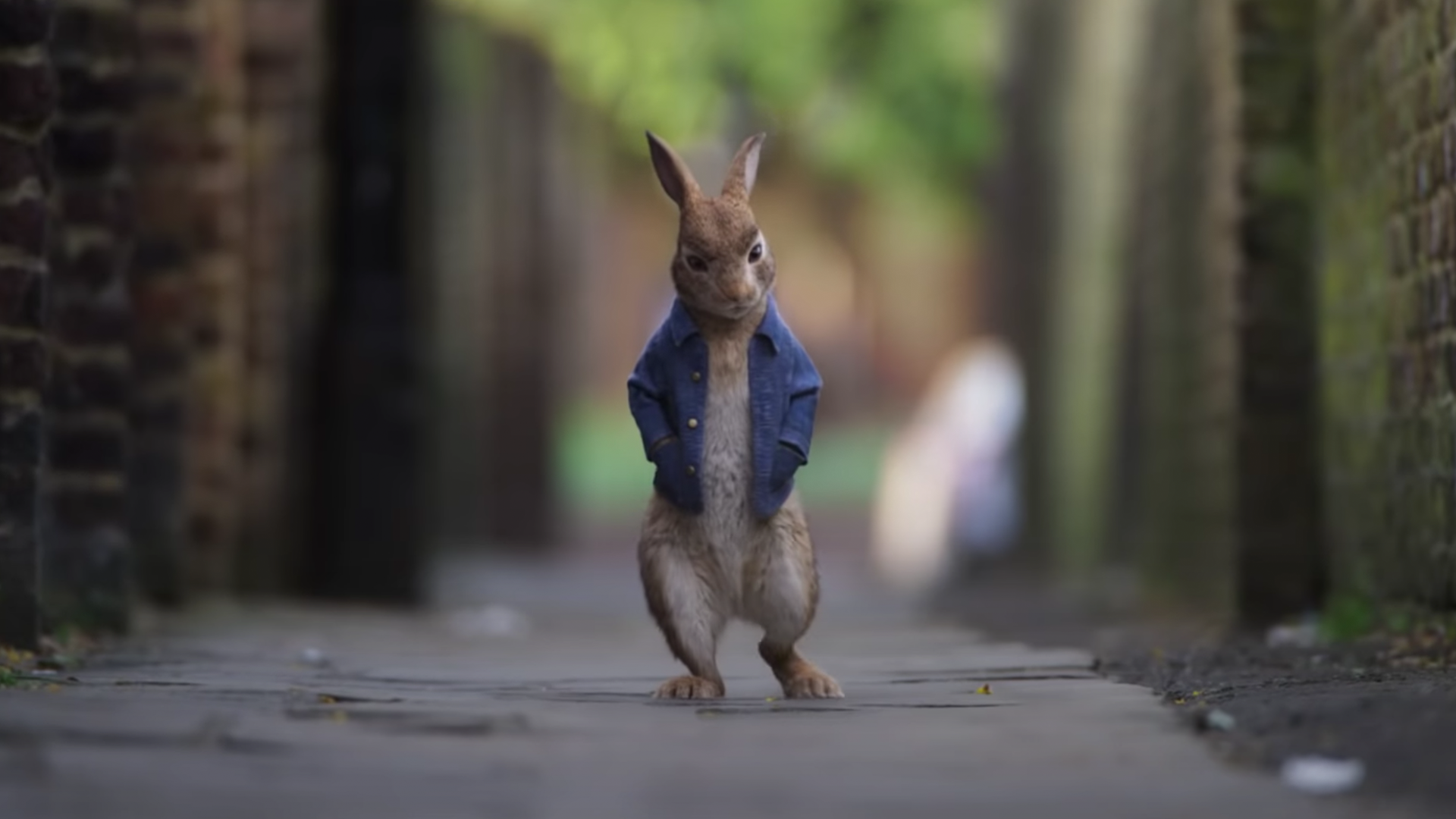 Peter Rabbit walking down the street