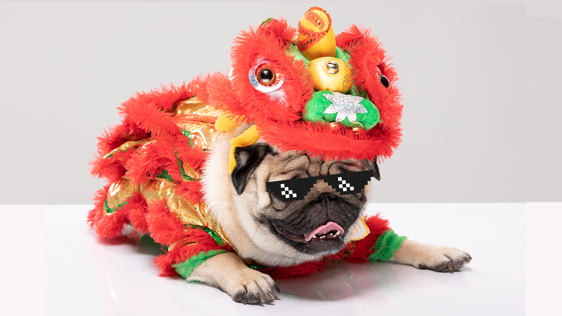 Frank in a Chinese New Year outfit