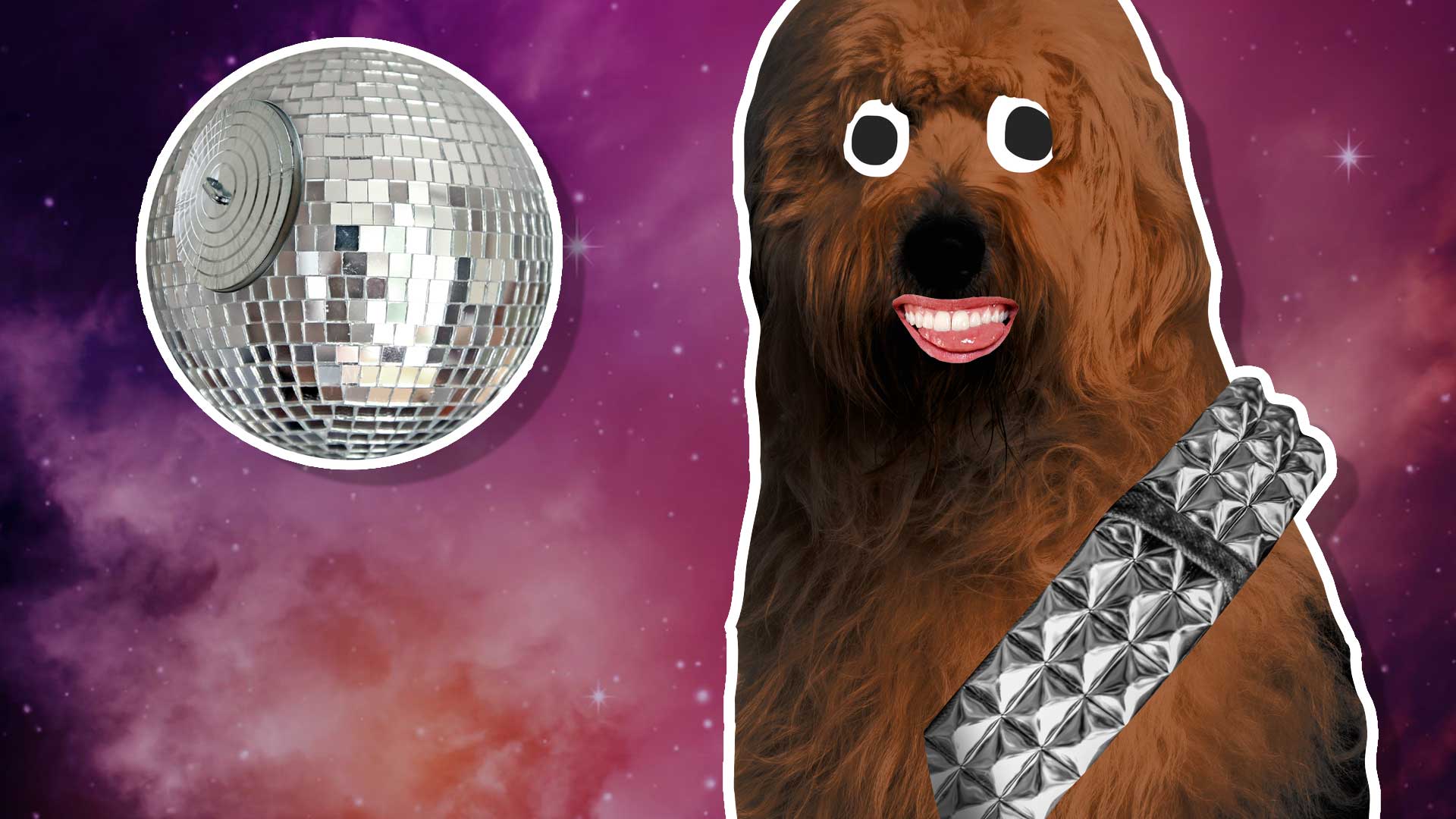 A Chewbacca lookalike and a mirror ball which looks like the Death Star