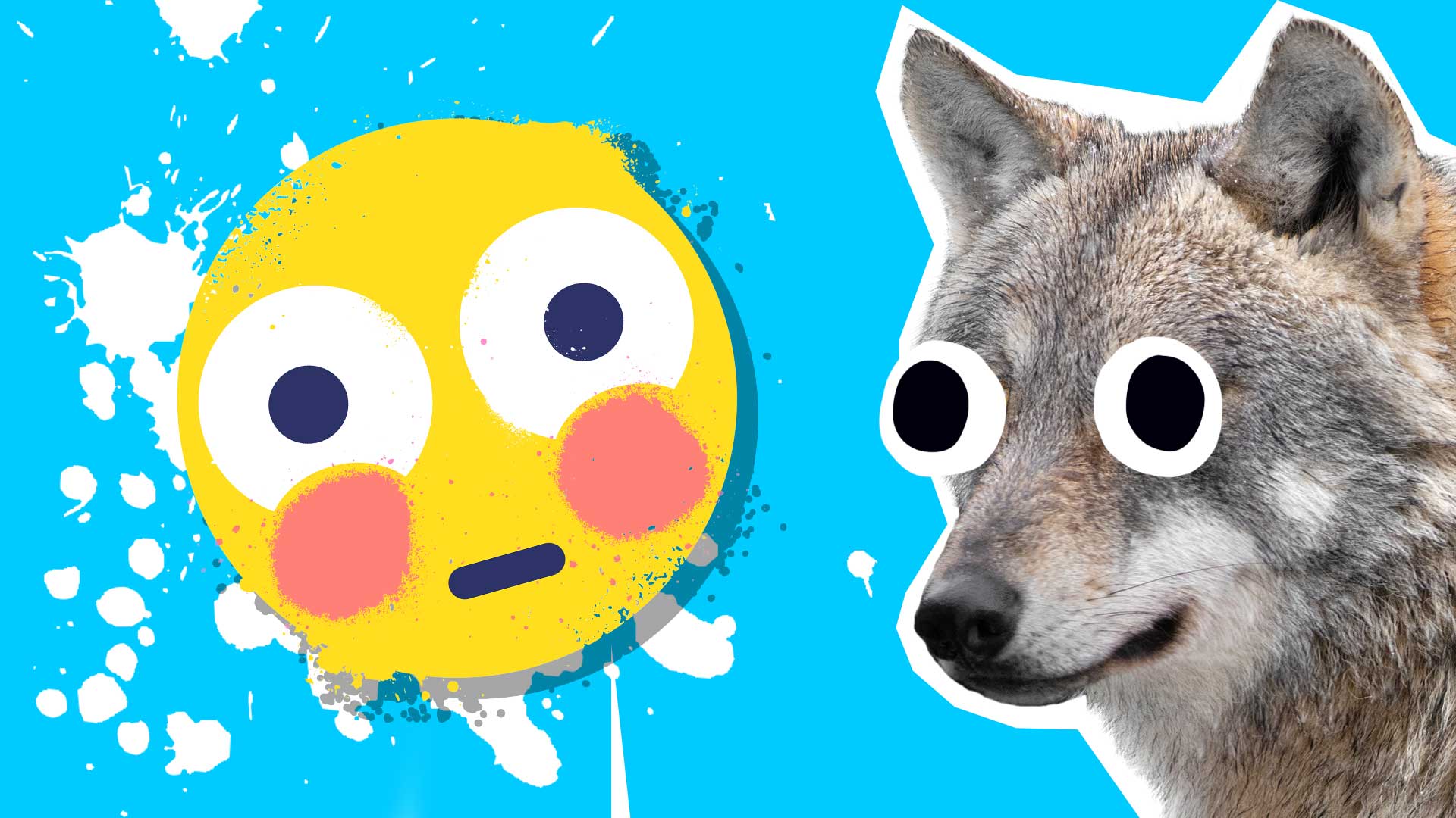 20 Wolf Jokes You'll Howl With Laughter At! 